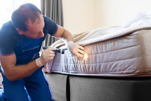 Best Bed Bug Extermination  in Marion, KS